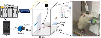 Inhibition of Long-Term Variability in Decoding Forelimb Trajectory Using Evolutionary Neural Networks With Error-Correction Learning